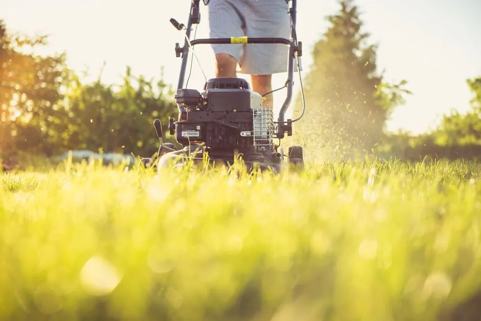 Jardin paysage entretenu